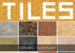 Ceramic Tile Plant